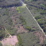 Rozcestí zvané Hvězda, pohled na porosty poškozené sněhovou kalamitou 2006 (Jemčina)