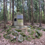 Pomník Českého lesnického spolku (Dubovice)