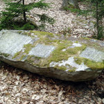 Pomník 1. výsevu modřínu na Jindřichohradecku-celkový pohled (Klenov)